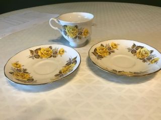 Antique Queen Anne Bone China Yellow Roses Footed Teacup/saucer Made In England