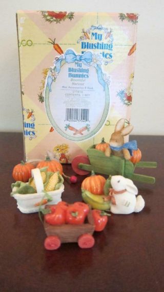 My Blushing Bunnies - Bountiful Harvest Mini Accessories - Box - 277878