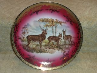 Antique Vintage Royal Vienna Stw Bavaria Elk Deer Game Plate Charger Red Gold