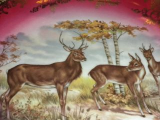 Antique Vintage Royal Vienna STW Bavaria Elk Deer Game Plate Charger Red Gold 3