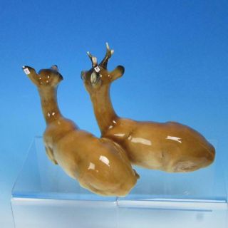 Hutschenreuther Selb Germany Kunstabteilung - Porcelain Doe Buck Deer Figurine 2