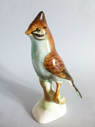 Vintage Hungarian Porcelain Bird Figurine,  Parrot,  Hand Painted Antique Statuette