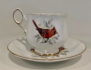 Royal Dover China Tea Cup & Saucer Bone China Cardinal Birds Made In England Euc