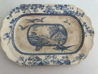 Brownfield & Sons Transferware Plate Platter Blue Antique Pheasant England Dish