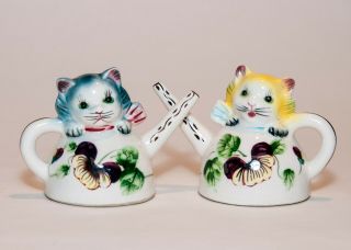 Kittens In Teapots Salt & Pepper Shakers