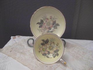 Paragon Tea Cup And Saucer Double Warrant