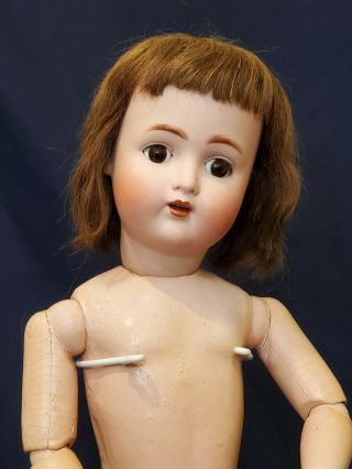 24.  5 " Antique German Bisque Doll Abg Mold 1362 " Sweet Nell " Ready To Dress