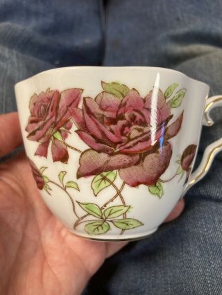 Vintage Taylor And Kent Floral / Rose Bone China Tea Cup And Saucer England.