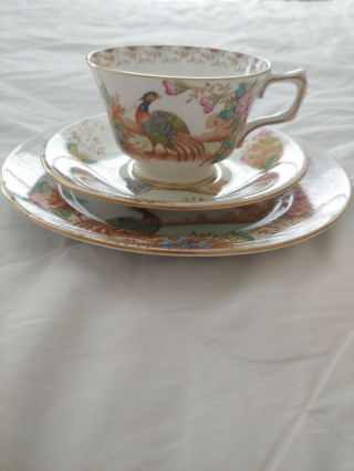 Sutherland Exotic Vintage Bone China Cup,  Saucer,  Plate