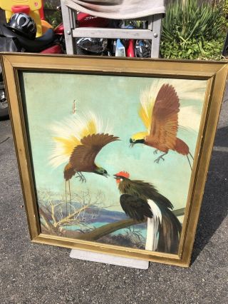 Vtg Large Julius Moessel Dated 1942 Framed Oil On Canvas Painting Birds
