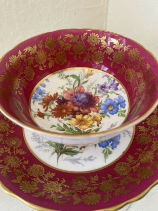 Mixed Wild Flowers Center With A Pink And Gold Border Paragon Tea Cup And Sauc