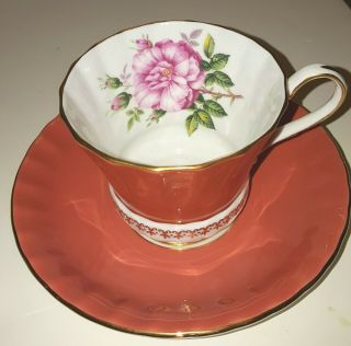 Vintage Aynsley 2959 Tea Cup & Saucer Fine English Bone China Burnt Orange (18)