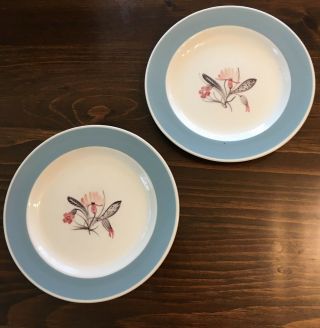 Stunning Susie Cooper Pink Campion 6 " Plates Hand Painted Rare Mcm Blue