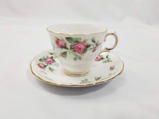 Royal Vale White Gold Trim Roses Teacup And Saucer Bone China Made In England