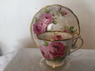 Vintage Tea Cup And Saucer Royal Albert American Beauty (rare) 2000s