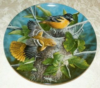 1985 The Baltimore Oriole Plate By Kevin Daniel Third Issue W/box &