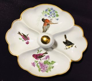 Vintage Castel Limoges France Porcelain 4 - Section Divided Dish Birds And Flowers