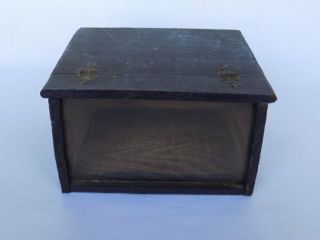 Antique Primitive Hand Crafted Hinged Wood Glass Front Display Box
