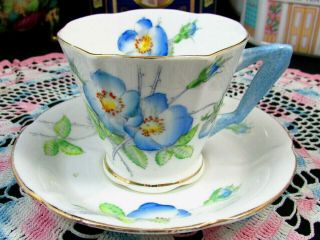 Royal Albert Wild Rose Blue Floral Art Deco Style Tea Cup And Saucer