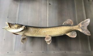 Vintage Northern Pike Fish Taxidermy 28”