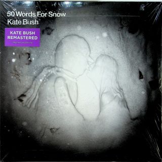 Kate Bush ‎– 50 Words For Snow 2 - Lp (2018 180g Vinyl) Album 2011 Reis