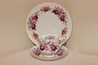 Rare Paragon Cup Saucer Snack Set,  Pink Orchids By Appt To Her Majesty The Queen