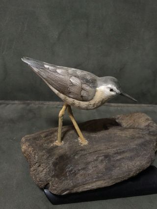 Vintage Hand Carved Wooden Shore Bird,  Detail,  Set On Driftwood.