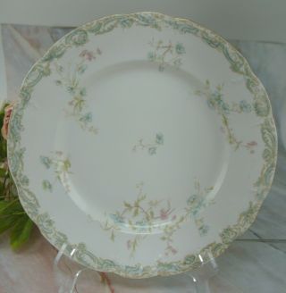 Antique 1861 - 1910,  9 - 3/4 " Dinner Plate Semi - Porcelain,  Henry Alcock & Co.  Cobridge