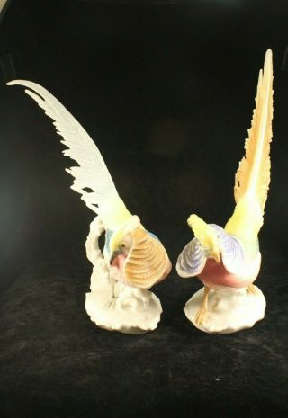 Pair Vintage Karl Ens Volkstedt Germany 11¼ " Porcelain Pheasant Figurines