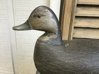 Antique Vintage Old Wooden Nj Black Duck Decoy