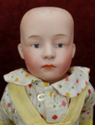 Antique German Heubach Bisque Boy Shoulder Head 13 1/2 Inch Doll 1 Pouty Face