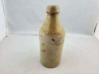 Antique LJW & Co.  Salt Glazed Stoneware Pottery Beer Bottle Jug 9.  5 