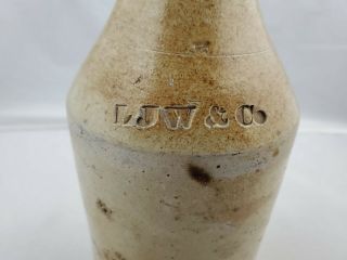 Antique LJW & Co.  Salt Glazed Stoneware Pottery Beer Bottle Jug 9.  5 