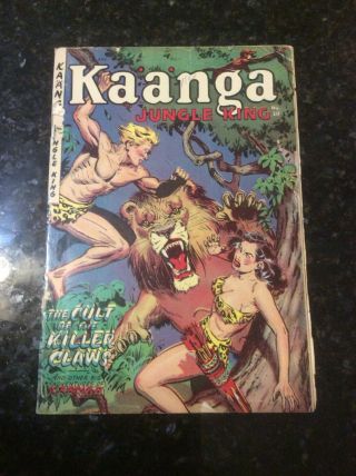 Attic Out: Kaanga Jungle King 20