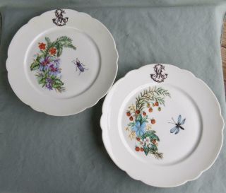 2 Antique Porcelain Plates - Hand Painted Flowers Insects Paris 1881