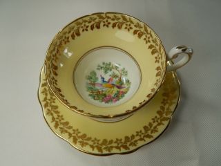 Vintage Foley Yellow Tea Cup And Saucer.  Exotic Bird Of Paradise.  Broadway.