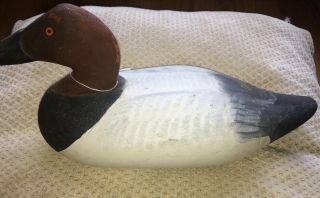 Paul Gibson 1902 - 1984 Hand Carved Canvas Back Drake Duck Decoy