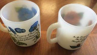 2 Vintage GLASBAKE Language Of Flowers MORNING GLORY & ZINNIA Milkglass Mugs 2