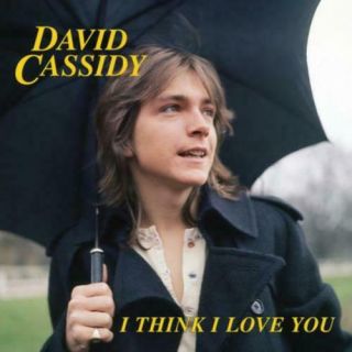 David Cassidy: I Think I Love You (7 " Vinyl. )