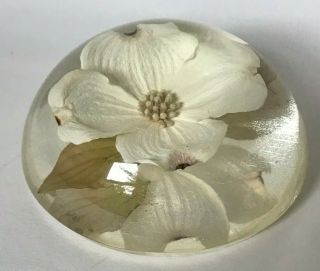 Vintage Acrylic Lucite Dome W.  Rolfe Paperweight White Dogwood Flower 3 7/8 "