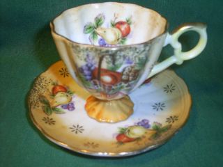 Antique Porcelain Rossetti Cup/saucer Set Fruit Decor Art Fluted Demitasse Japan
