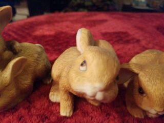 Homco Bunny Figurines 3