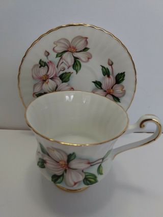 Vintage Paragon Small Tea Cup And Saucer Floral Peonies 5 " Saucer 3 " Cup