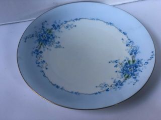 Antique Blue Floral Porcelain Plate Hand Painted 8 1/2 "