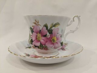 Vintage Tea Cup Royal Albert Bone China Prairie Rose Tea Cup With Saucer