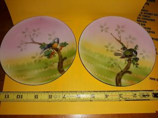 2 Antique Prov Saxe Es Germany Hand Painted Plate Birds Collectible Dish Kitchen