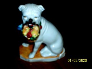 Antique Porcelain Sitting White Bull Dog With Basket In Mouth With Fruit C1900