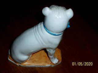 Antique Porcelain Sitting White Bull Dog With Basket in Mouth With Fruit c1900 2