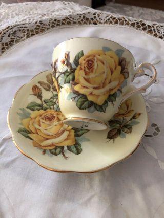 Gorgeous Vintage Royal Standard Tea Cup & Saucer Yellow Cabbage Roses.