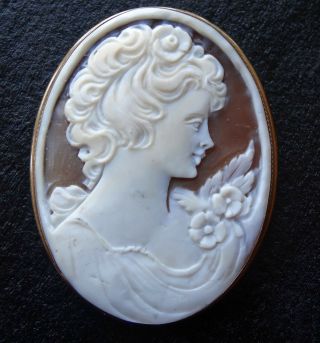 Vintage 9ct Gold Carved Pink Shell Cameo Pendant Or Brooch Flower Lady K189